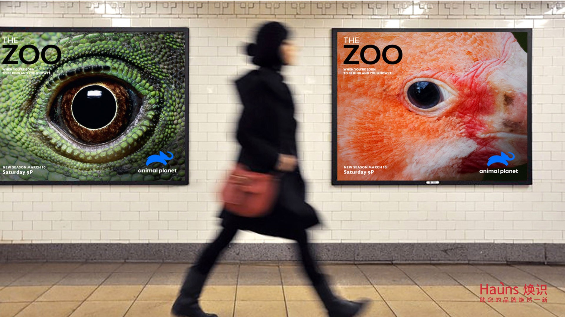 品牌海報(bào)設(shè)計(jì) 品牌形象煥新 品牌logo設(shè)計(jì).jpg