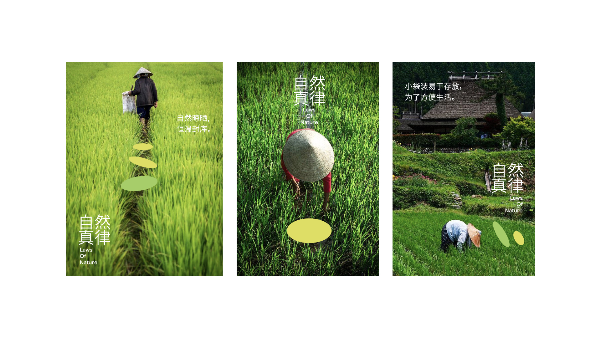 一方耘vi設(shè)計_雜糧海報設(shè)計.jpeg 一方耘vi設(shè)計_雜糧海報設(shè)計.jpeg