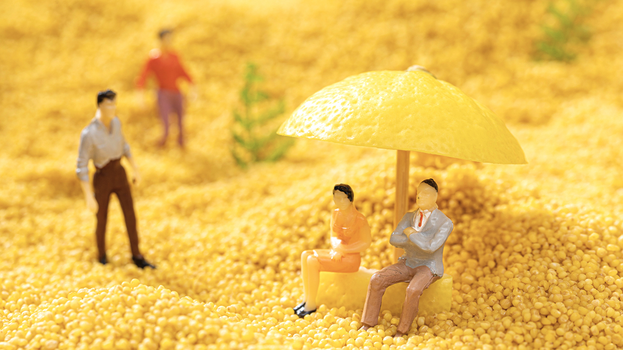 有機(jī)小米vi設(shè)計_雜糧包裝攝影.jpeg 有機(jī)小米vi設(shè)計_雜糧包裝攝影.jpeg