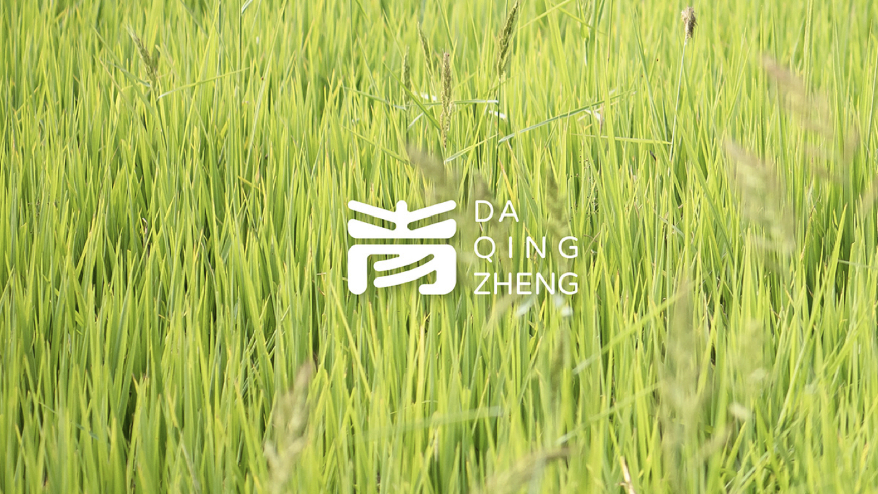 農業vi設計.jpg 農業vi設計.jpg