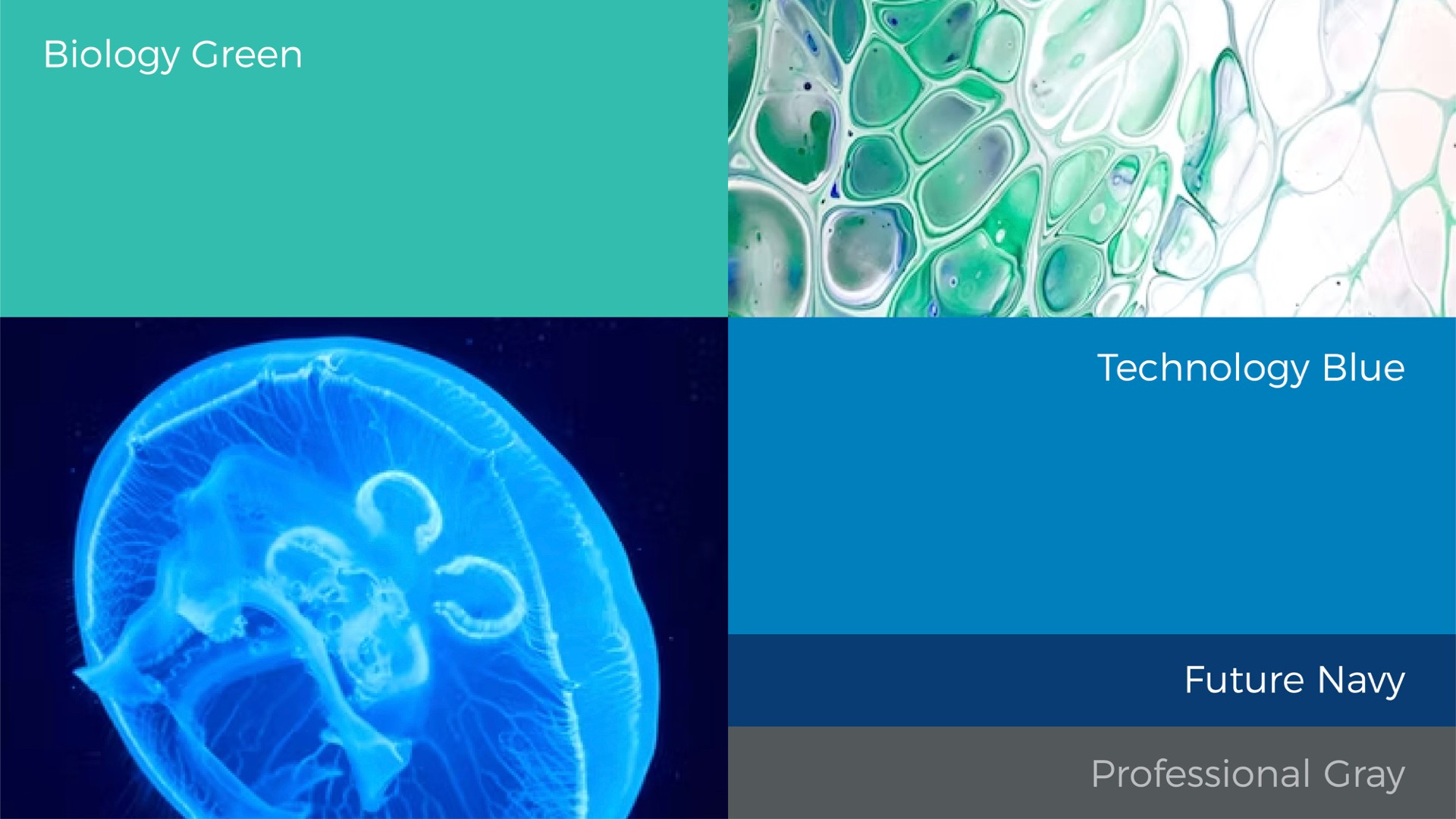 2醫療醫藥色彩.jpeg 2醫療醫藥色彩.jpeg