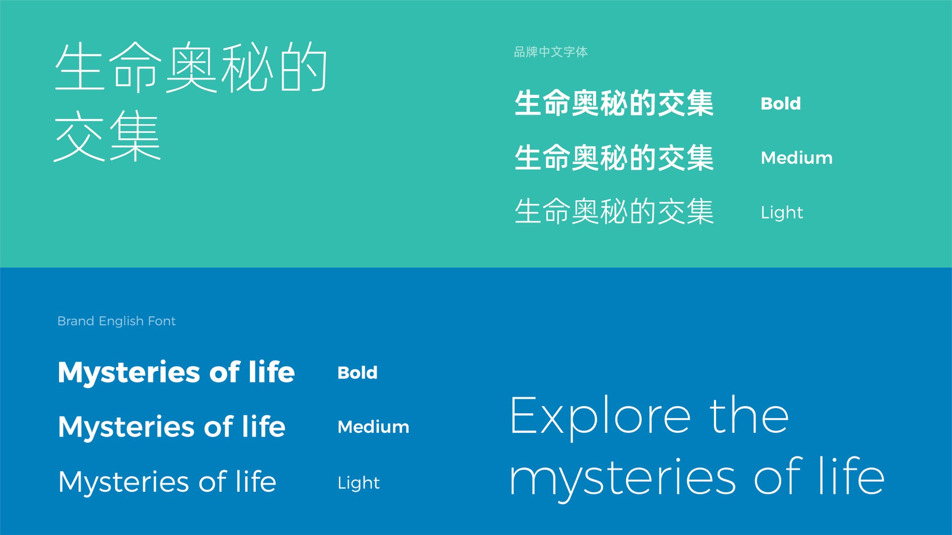 3醫療字體.jpeg 3醫療字體.jpeg