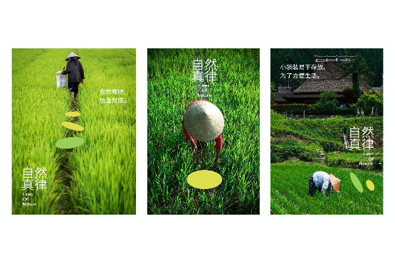 VI設計在農產品品牌中的角色-傳遞自然與健康的視覺語言